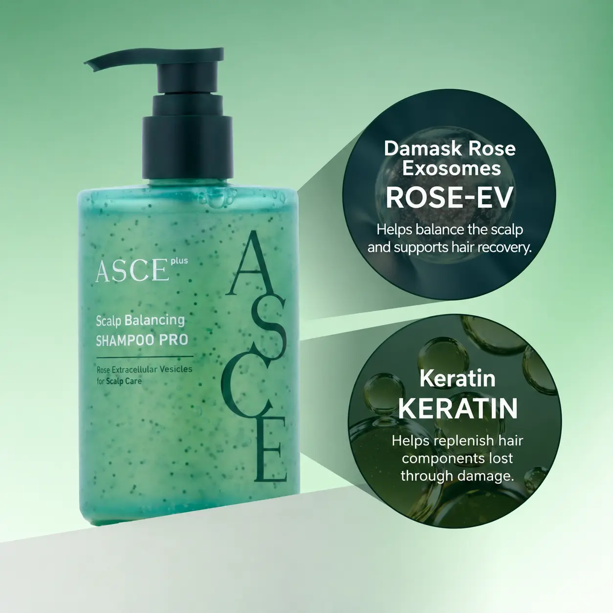 asce plus scalp balancing shamppon pro